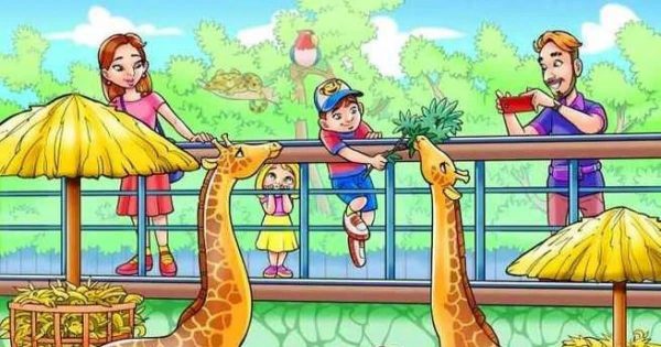 ¡Date prisa y encuentra el mono de la imagen en 10 segundos!