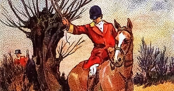 Encuentra el zorro en la imagen Encuentra el zorro en la imagen