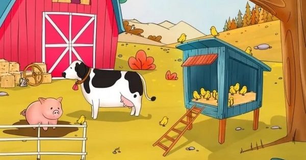 ¿Dónde se esconde la gallina? Una prueba para personas con vista de águila ¿Dónde se esconde la gallina? Una prueba para personas con vista de águila