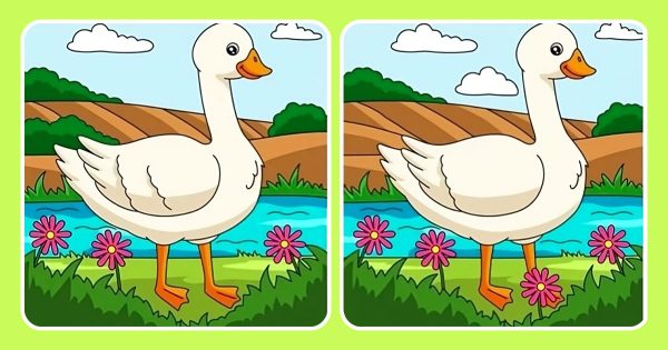 ¿Cuántas diferencias entre las imágenes puedes encontrar en medio minuto? ¿Cuántas diferencias entre las imágenes puedes encontrar en medio minuto?