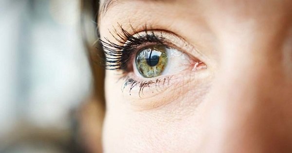 ¿Sabías que se puede conocer el estado de la salud, a través de los ojos?  ¡Presta atención a estas 8 señales!