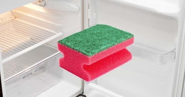 Por qué deberías poner las esponjas para lavar platos en el refrigerador