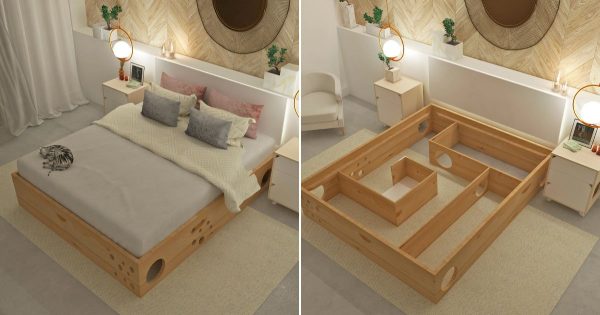 Una cama especial para dueños de gatos, quienes estarán encantados con tal diseño.