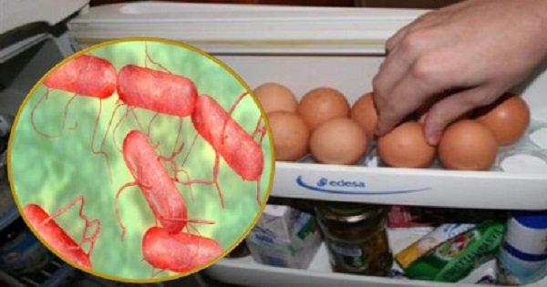 Si supieras del peligro al que expones tu salud guardando los huevos en la nevera, no lo harías…