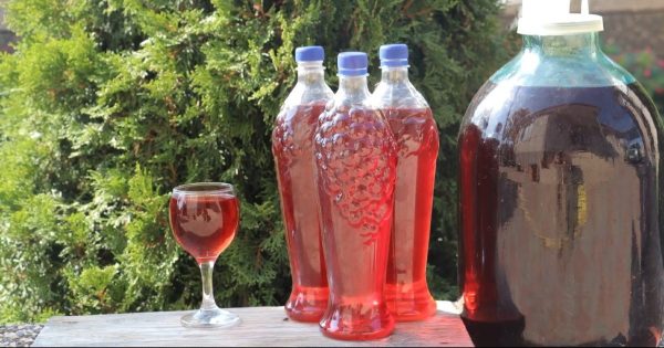 Cómo hacer vino en casa: 3 formas sencillas