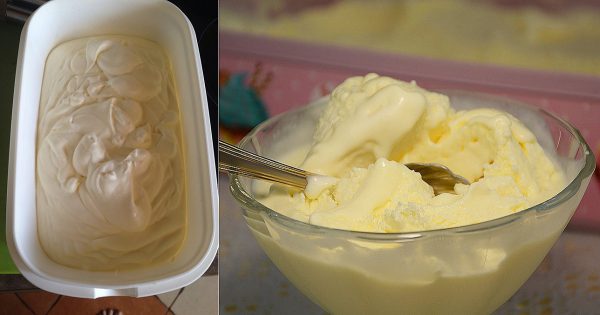 Cómo hacer helado casero de yogurt.