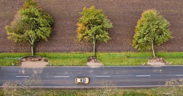30 fotos increíbles, y sin un retoque de Photoshop. ¡Estoy maravillado!