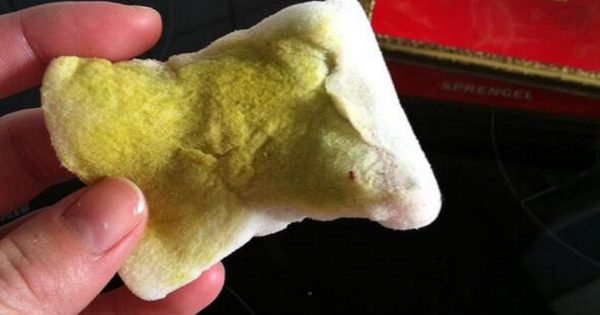 Desde que vi esta cosa en la tienda, puse el grito en el cielo… ¡Lo más genial, en materia de limpieza!