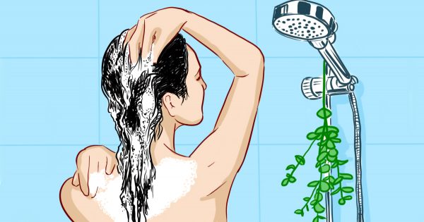 Pon una ramita de esta planta en el baño, y… ¡Tu piel lucirá tan suave y sana, como la de un bebé!