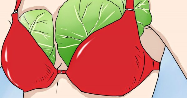 ¿Sabías que la col es mucho más que una simple hortaliza? Un regalo maravilloso de la Naturaleza…