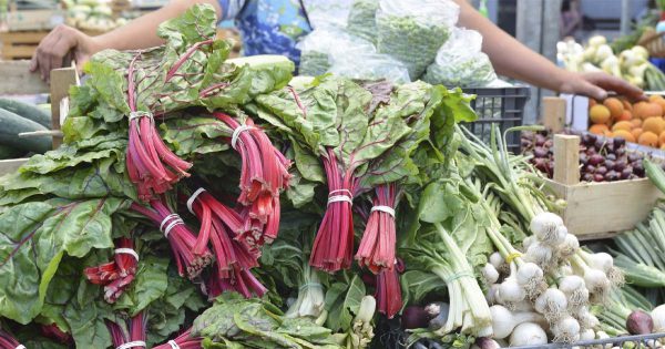 ¿Por qué comprar hojas de remolacha es como ganar la lotería?