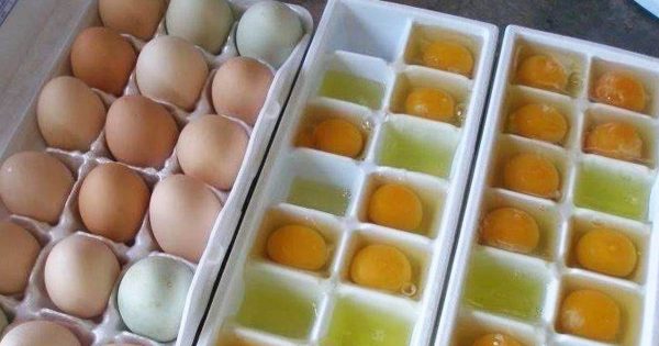 Fui a visitar a mi suegra y ella la vi congelar huevos, me sorprendió, pero me lo explico todo Fui a visitar a mi suegra y ella la vi congelar huevos, me sorprendió, pero me lo explico todo