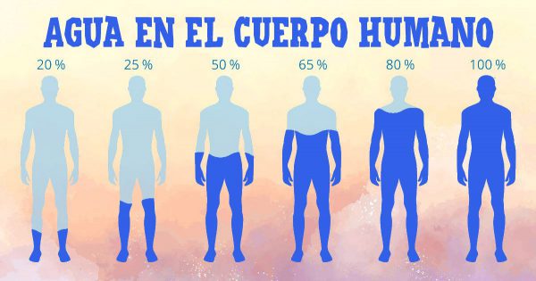 La norma de agua por día: por qué es peligroso beber líquidos en exceso