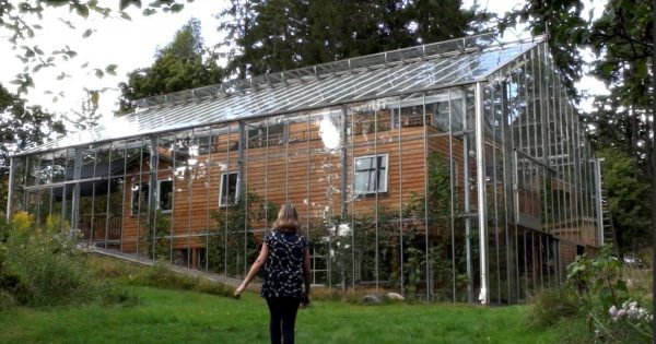 La pareja decidió construir un invernadero alrededor de la casa