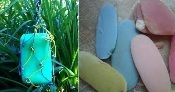 Corta jabón aromático en trozos, úsalos en esto y no te arrepentirás…