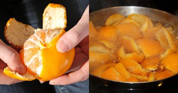 ¿Para qué sirve la cáscara de mandarina? ¿Para qué sirve la cáscara de mandarina?