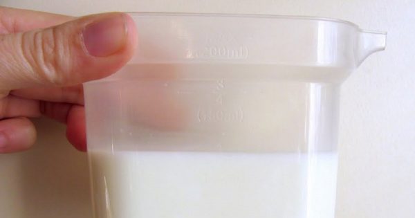 Por qué la leche de la tienda no se vuelve amarga