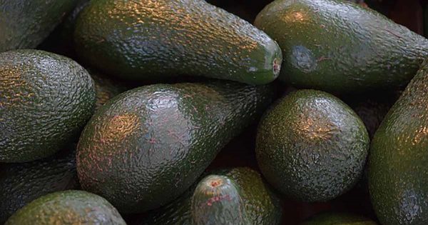 ¡Dieta que «mata de hambre» al cáncer y supera la diabetes! Lo que necesitas saber de este remedio curativo natural…