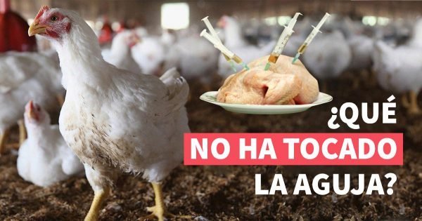 Las partes más saludables del pollo