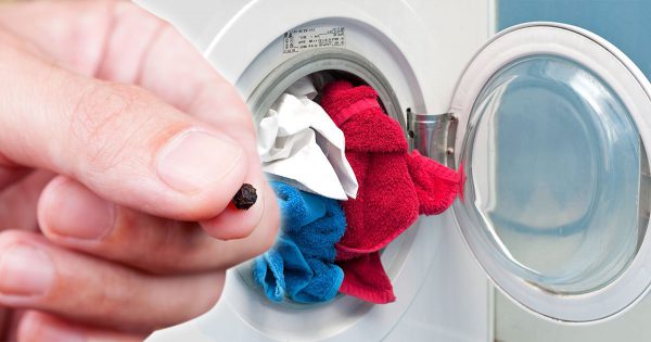 Mi suegra me enseñó a añadir una cucharadita de pimienta a la colada y siempre sigo este consejo