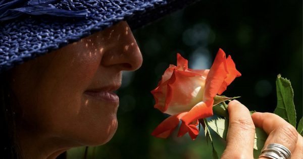 Qué mujeres tienen el olor de la vejez antes de tiempo, que se puede adivinar incluso a través del perfume
