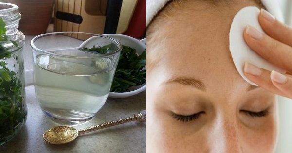 ¡Perejil: la especia de los milagros! Con esta loción casera el acné y las arrugas serán cosa del pasado…