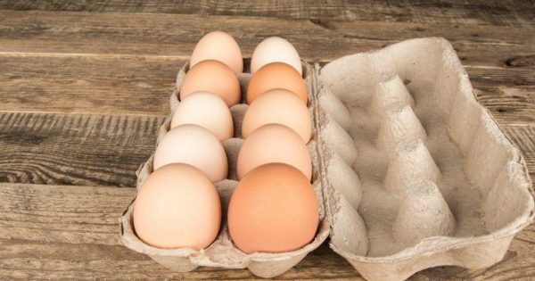 Flores de bandejas de cartón de huevos