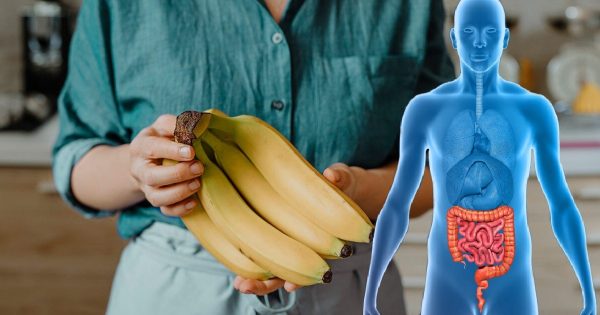 Los plátanos y el tracto gastrointestinal: opinión de expertos Los plátanos y el tracto gastrointestinal: opinión de expertos