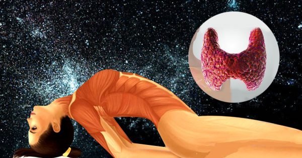 ¡Cura la glándula tiroides! 5 ejercicios especiales ayudan a restaurar el órgano endocrino.
