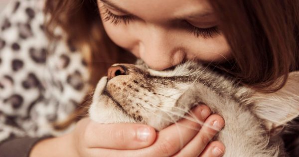 Información para los amantes de los gatos: qué le sucede a una persona cuando acaricia a un gato