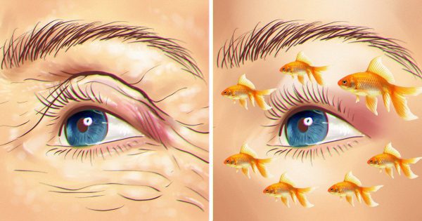 Por qué el aceite de pescado es beneficioso en todos los sentidos