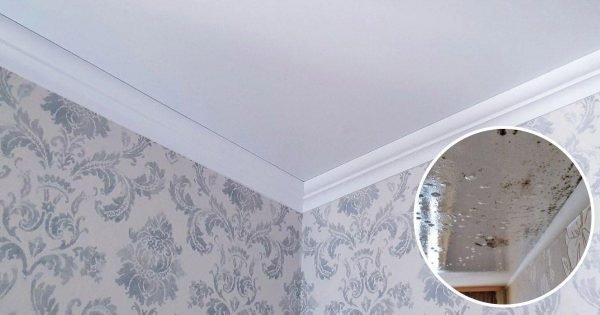 Por qué quité el techo tensado y me alegro por ello