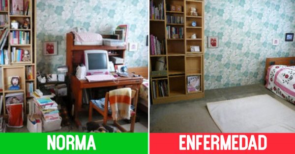 Odio el desorden… ¡Los regados son acusados erróneamente de pereza!