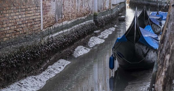 Un profesor de historia explica cómo los arquitectos medievales construyeron los antiguos palacios de Venecia Un profesor de historia explica cómo los arquitectos medievales construyeron los antiguos palacios de Venecia