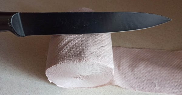 Hoy te voy a enseñar por qué corto un rollo de papel higiénico por la mitad, tú harás lo mismo Hoy te voy a enseñar por qué corto un rollo de papel higiénico por la mitad, tú harás lo mismo