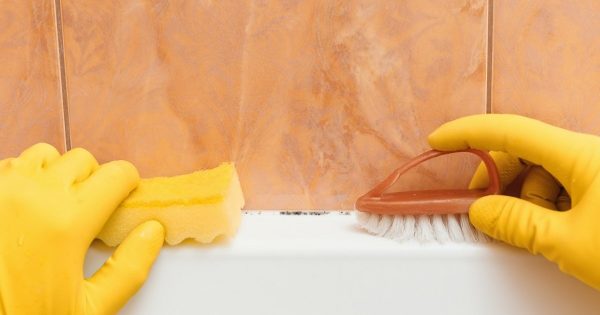 ¿Por qué se necesita almidón en la vida cotidiana?