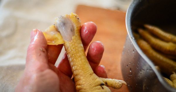 Cómo preparar patas de pollo