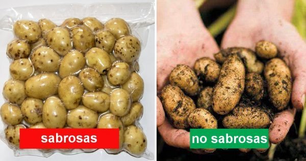 ¿Sabes cómo elegir las patatas tiernas correctamente? ¡Un vendedor me enseñó ese truco!