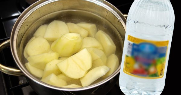 ¿Por qué mi suegra siempre pone vinagre en la olla con las patatas? ¿Por qué mi suegra siempre pone vinagre en la olla con las patatas?