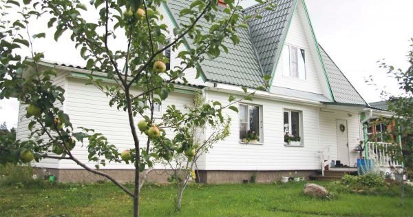 Ideas para un patio ordenado sin jardín de flores.