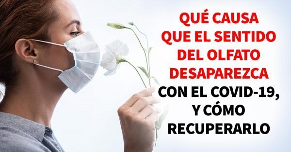 Qué causa que el sentido del olfato desaparezca con el COVID-19, y cómo recuperarlo