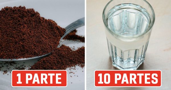 Por qué el café resulta insípido: 11 errores de cocina