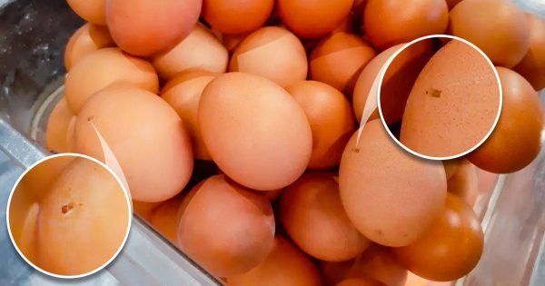 ¿Por qué se deben lavar los huevos?