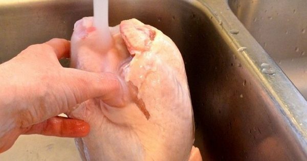 Por qué no se recomienda lavar el pollo antes de cocinarlo. ¡Debes dejar de hacerlo ya!
