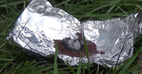 Mantén a los mosquitos y otras plagas de verano a raya, con este excelente truco… ¡No te van a molestar!