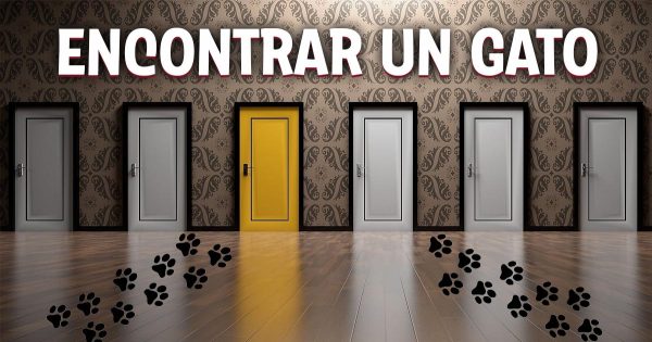 Ingeniosa tarea sobre el gato detrás de la puerta: no todos pueden hacerlo