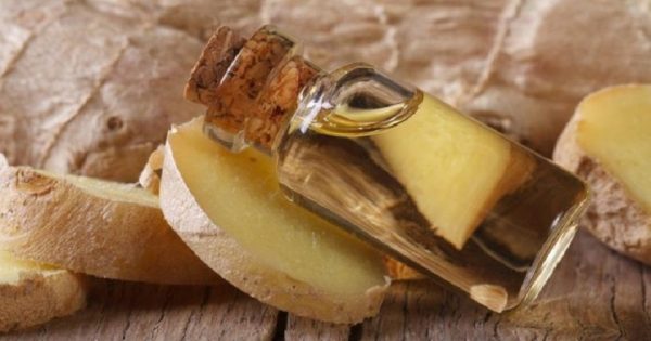 Con esta receta, no solo tendrás tu memoria a la orden del día, sino también tu figura… ¡Prueba y verás!