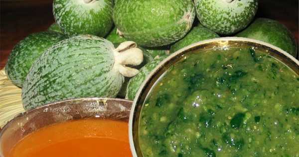 ¡Temporada de feijoa en plena marcha! Un delicioso producto natural, rico en yodo y vitamina C…