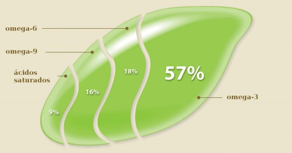 Este aceite contiene dos veces más omega-3 que el aceite de pescado. ¡Razón de más para probarlo!