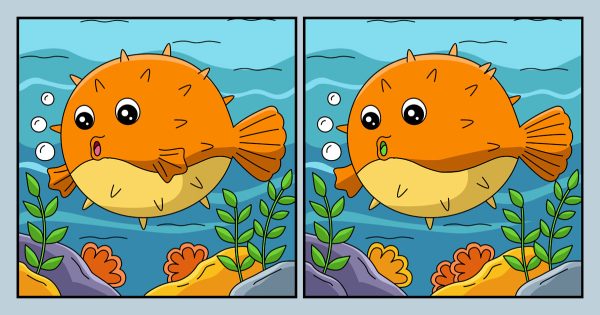 Por más que miro, no encuentro más de cinco diferencias